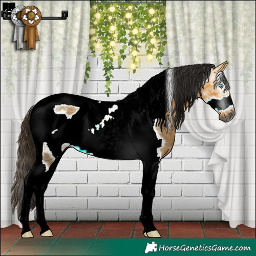 Horse Color:Gray Buckskin Ice Dun Sabino Tobiano Frame Rabicano 