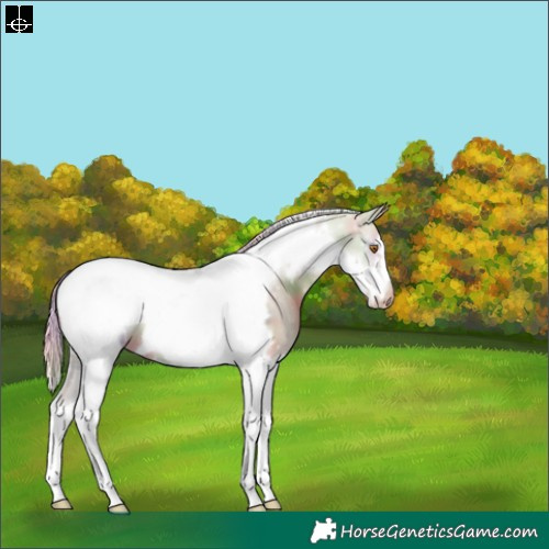 Horse Color:Nacre Silver Smoky Grullo Tobiano Frame Varnish 