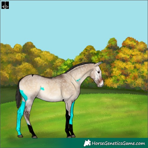 Horse Color:Brown Ice Onyx Tobiano 