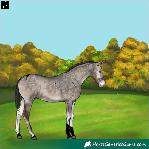 Horse Color:Grullo Ice Onyx Tobiano Rabicano 