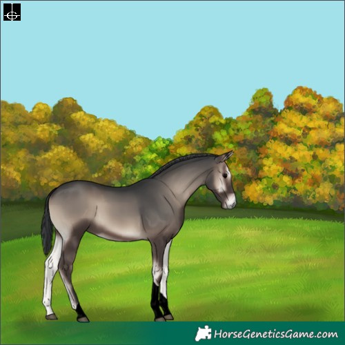 Horse Color:Blue Onyx Tobiano 