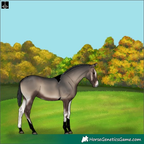 Horse Color:Blue Onyx Tobiano 