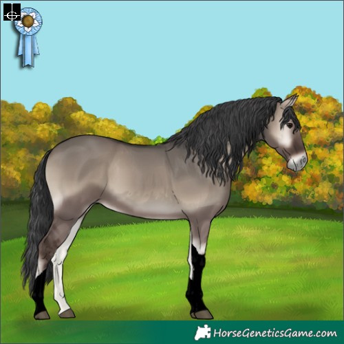 Horse Color:Grullo Onyx Tobiano Rabicano 