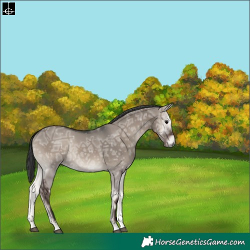 Horse Color:Grullo Ice Onyx Tobiano Rabicano 
