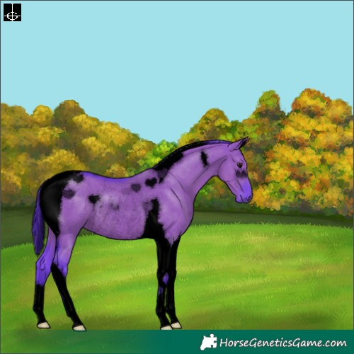 Horse Color:Void Watercolor Grullo Tobiano Rabicano