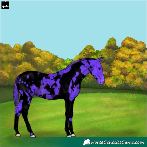 Horse Color:Void Watercolor White Spotted Smoky Black Tobiano Appaloosa Rabicano 