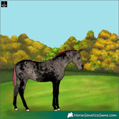 Horse Color:Void Painted Silver Smoky Grullo Tobiano Rabicano 