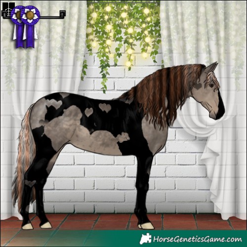 Horse Color:Void Painted Silver Smoky Grullo Tobiano 