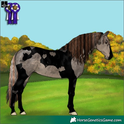 Horse Color:Void Painted Silver Smoky Grullo Tobiano 