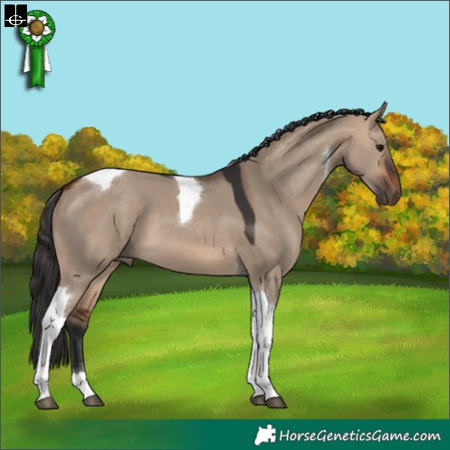 Horse Color:Bay Dun Tobiano 