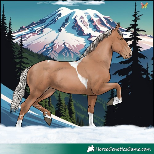 Horse Color:Silver Black Pearl Tobiano