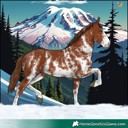 Horse Color:Chestnut Sabino 