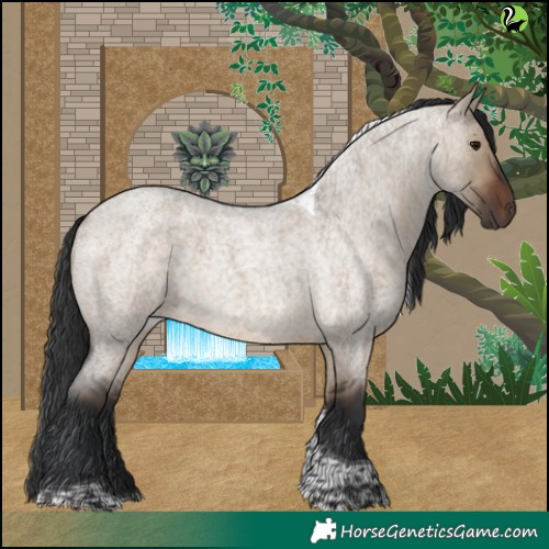 Horse Color:Brown Roan Dun Tobiano 