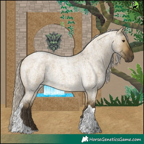 Horse Color:Silver Buckskin Roan Dun Tobiano 