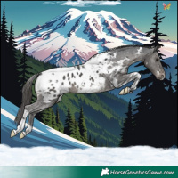Horse Color:White Spotted Black Tobiano Appaloosa  and White Spotted Black Tobiano Appaloosa 