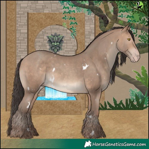 Horse Color:White Spotted Sable Champagne 