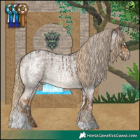Horse Color:White Spotted Silver Black Splash Tobiano Rabicano  and Chocolate Palomino Roan Tobiano 