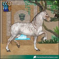 Horse Color:White Spotted Silver Black Splash Tobiano Rabicano and Chocolate Palomino Roan Tobiano