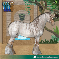 Horse Color:White Spotted Silver Black Splash Tobiano Rabicano  and Chocolate Palomino Roan Tobiano 