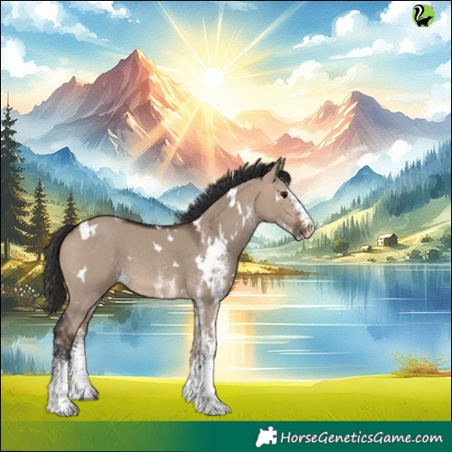 Horse Color:White Spotted Brown Dun 