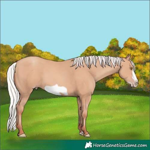 Horse Color:Silver Amber Champagne Frame