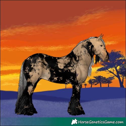 Horse Color:Void Silver Buckskin Dun Tobiano 
