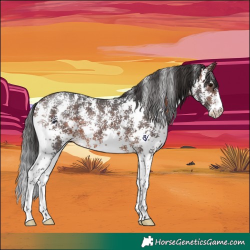 Horse Color:Brown Sabino 