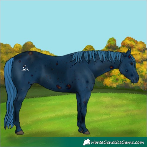 Horse Color:ERROR: UNKNOWN ANOMALY
