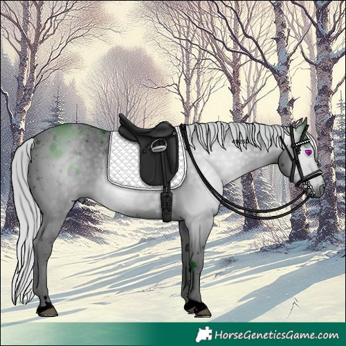 Horse Color:ERROR: UNKNOWN ANOMALY