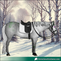 Horse Color:ERROR: UNKNOWN ANOMALY