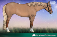 Horse Color:Red Dun 