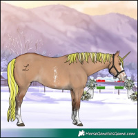 Horse Color:Painted Silver Bay Dun Sabino Rabicano