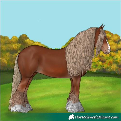 Horse Color:Chestnut 