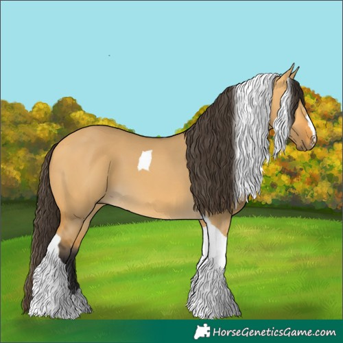 Horse Color:Unknown 