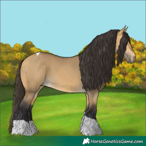 Horse Color:Buckskin Dun Tobiano