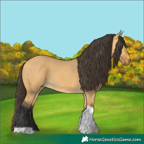 Horse Color:Buckskin Dun Tobiano