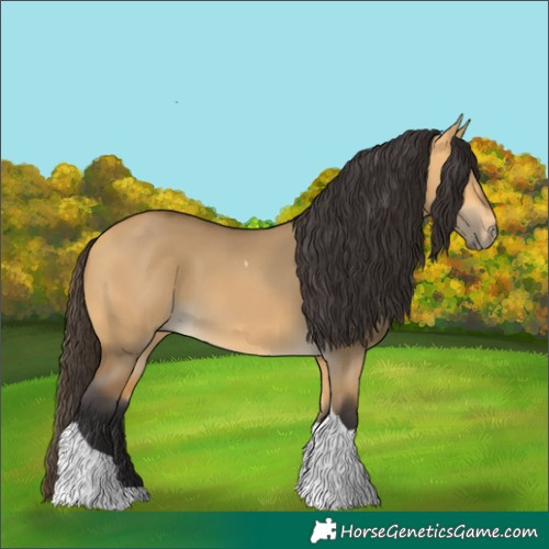 Horse Color:Buckskin Dun Tobiano