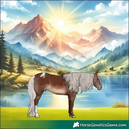 Horse Color:Silver Bay Varnish 
