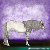 Horse Color:Silver Brown Roan Onyx