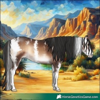 Horse Color:Liver Red Onyx Sabino