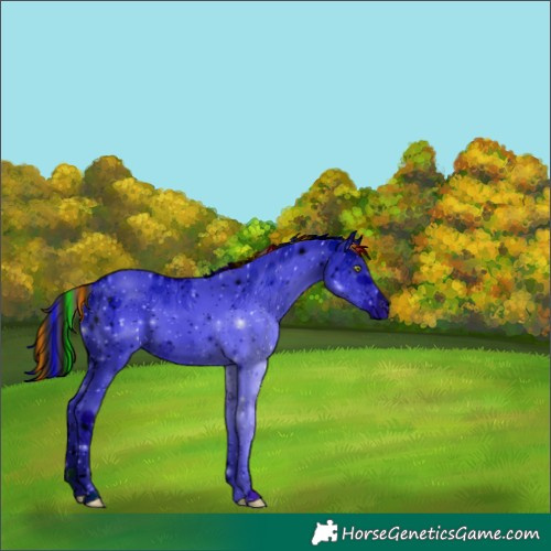 Horse Color:ERROR: UNKNOWN ANOMALY
