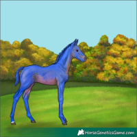 Horse Color:Watercolor Brown 