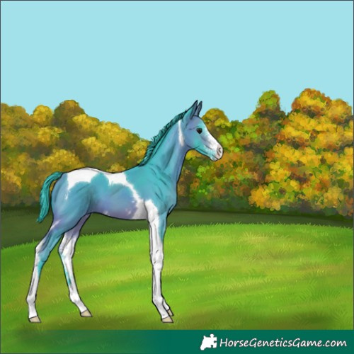 Horse Color:Watercolor Bay Sabino Tobiano 