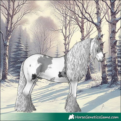Horse Color:White Spotted Black Merle Tobiano Rabicano 
