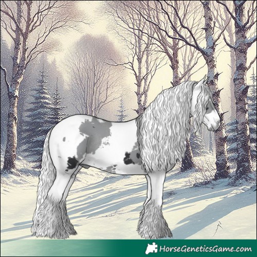 Horse Color:White Spotted Black Merle Tobiano Rabicano 