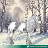 Horse Color:White Spotted Black Merle Tobiano Rabicano