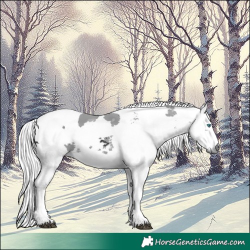 Horse Color:Black Merle Tobiano 