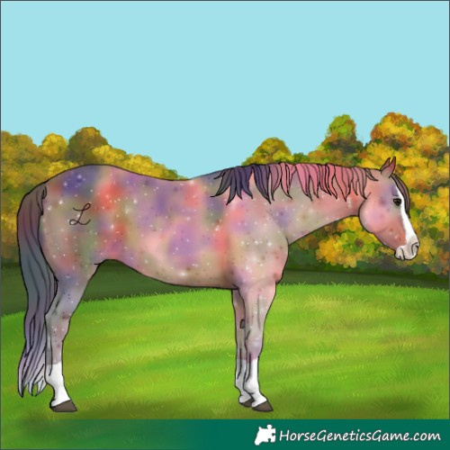 Horse Color:Nacre Bay Splash 