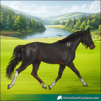 Horse Color:Liver Chestnut Tobiano