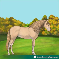 Horse Color:Gold Champagne Rabicano 